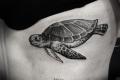 Sköldpadda tatuering - betydelse Sköldpadda tatuering mening