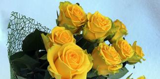 Uobičajena zabluda: da li su žute ruže simbol tuge?