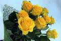 Concepto erróneo común: ¿Son las rosas amarillas un símbolo de tristeza?